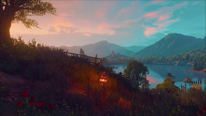 黄昏湖畔大树草地