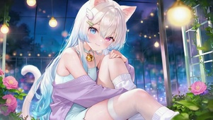 银发异瞳猫耳二次元美少女