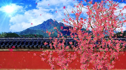 4K桃花盛开