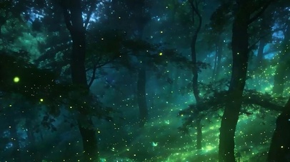 夜景树木带鱼屏
