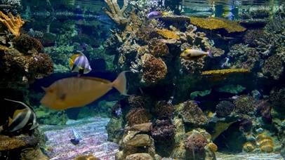 水族馆