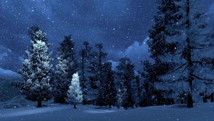 林中雪夜