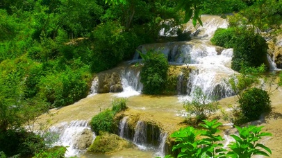 护眼绿林山涧溪水