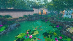 美丽的雨中庭院