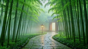 国风竹路听雨