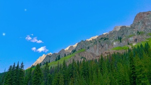 风景护眼桌面壁纸高山树林
