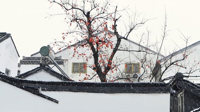 留白的意境之美