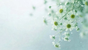 护眼花朵树木