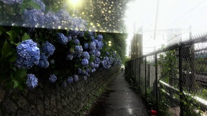 阴雨天的小路