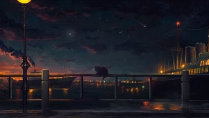 雨夜湖边小猫