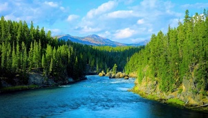 高山树林河流