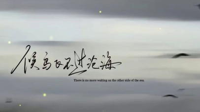 候鸟飞不过沧海