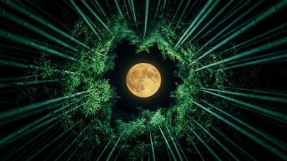 竹林望月