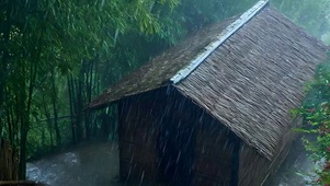 暴雨带鱼屏