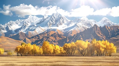 日照金山下的枫叶林