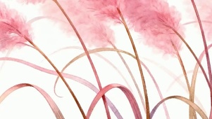 芦苇花带鱼屏