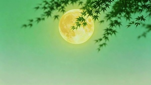 树影月色，平安喜乐