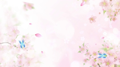 唯美春日樱花 4k