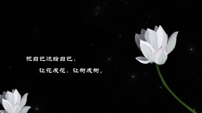 荷花文字