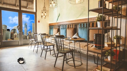 纽约高档咖啡厅