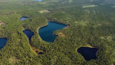 【4K航拍】静澜的亚马逊雨林