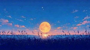 海月星空