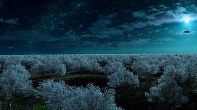 银月星空