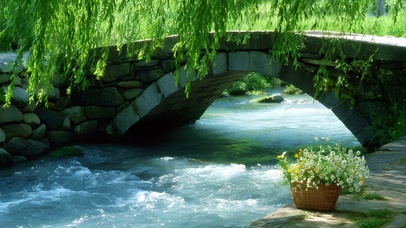 小桥流水鲜花