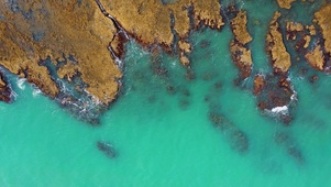 护眼浅浪