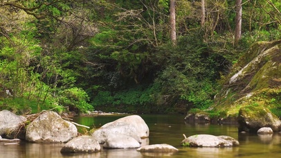 绿林山涧流水