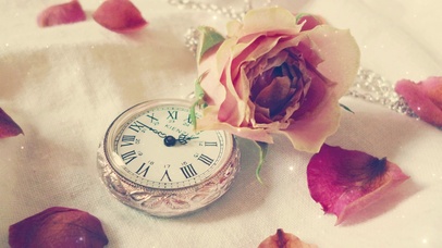 唯美治愈小花花