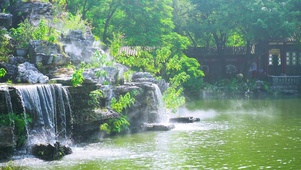 公园假山