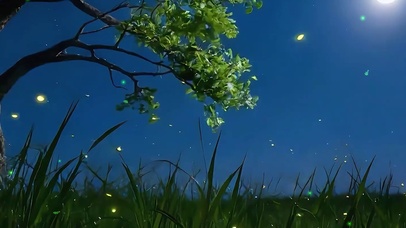 夜景星空树带鱼屏