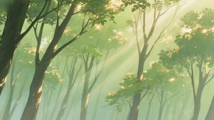 静谧森林