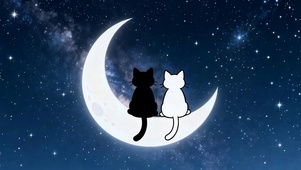 月光上两只猫咪