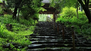 古寺下雨天 