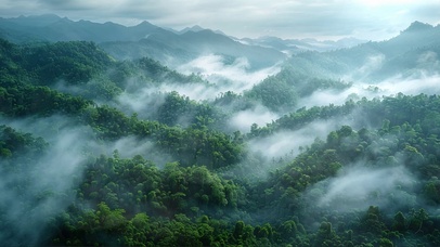 绿色迷雾山林