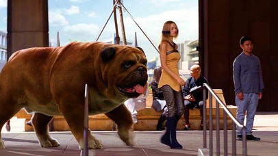 送你一只宠物狗子