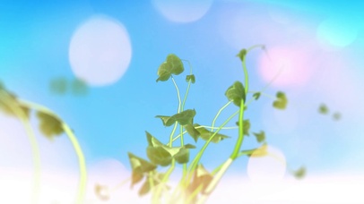 清新绿色藤蔓植物生长