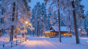 木屋冬夜治愈逸景