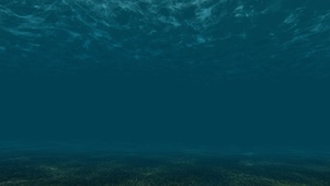 水底