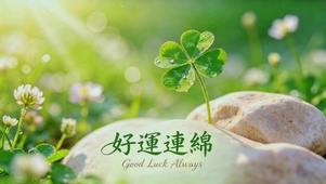 好运连绵，幸运草