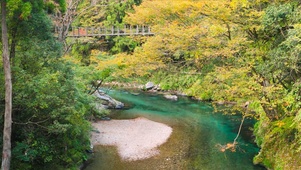 秋林山涧流水