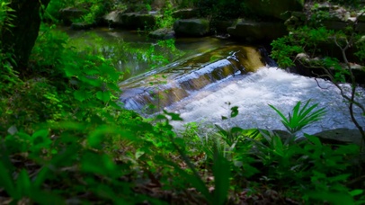 林间溪水