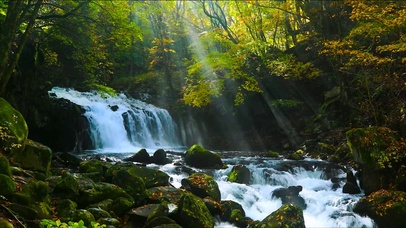 秋天的山林流水