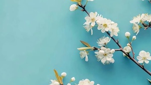 护眼小清新带鱼屏