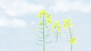 向阳花