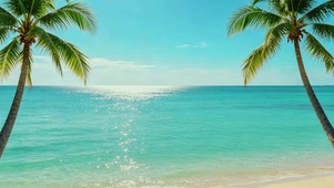 蓝天大海椰树