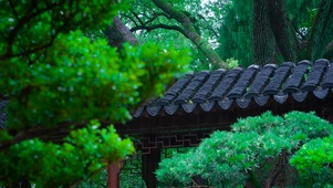 放松护眼庭院屋檐雨