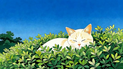 草地猫咪